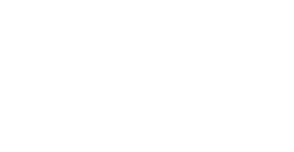 Dazzle Blow Dry